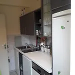 Słonecznik *