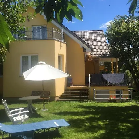 Słonecznik
