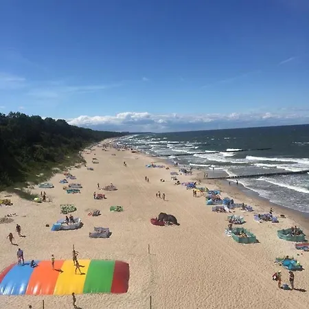 Slonecznik レバル