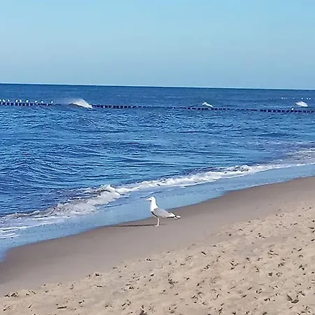 Slonecznik ホームステイ