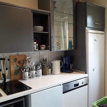 Slonecznik Homestay *