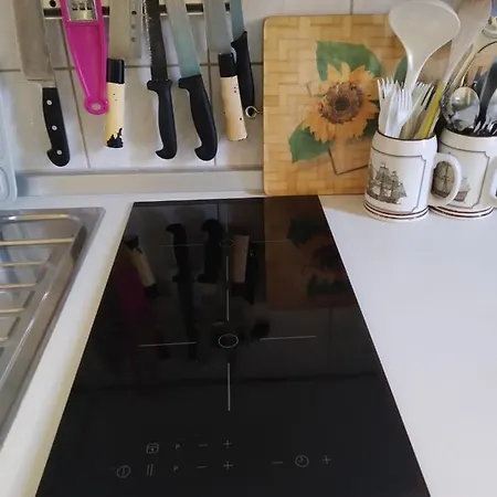 Slonecznik * レバル