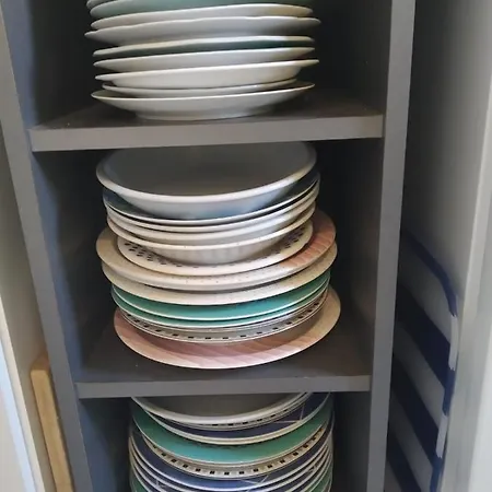 Slonecznik レバル