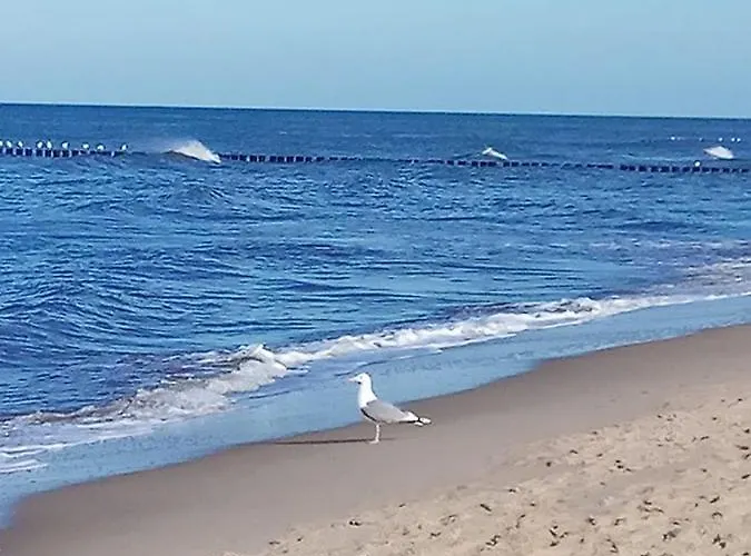 Slonecznik Ubytování v soukromí