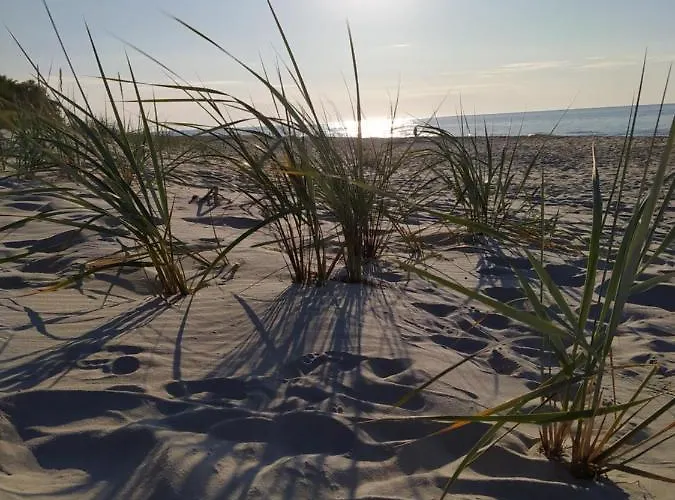 Ubytování v soukromí Slonecznik Rewal