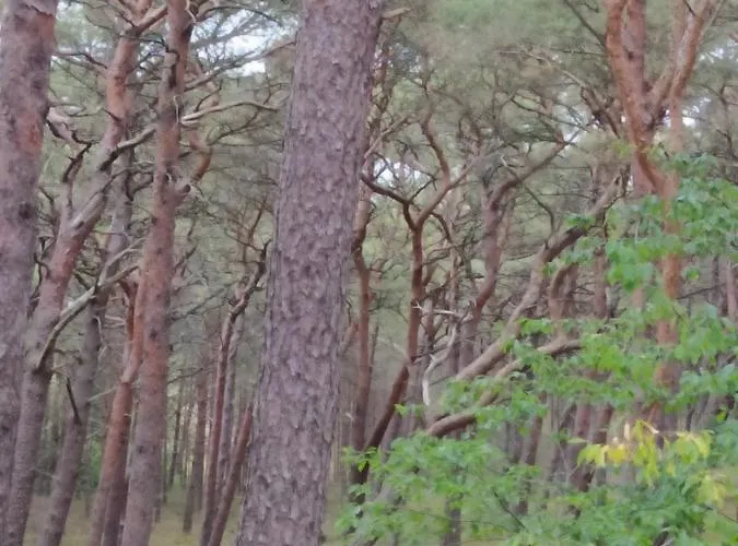 Slonecznik Ubytování v soukromí *